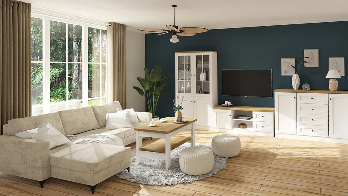 co-wstawic-do-witryny-w-salonie